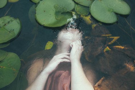 John Everett Millais, Water Nymphs, Lily Pads, In Water, Pretty Pictures, Photography Inspiration, The Dreamers, Art Reference, Art Photography