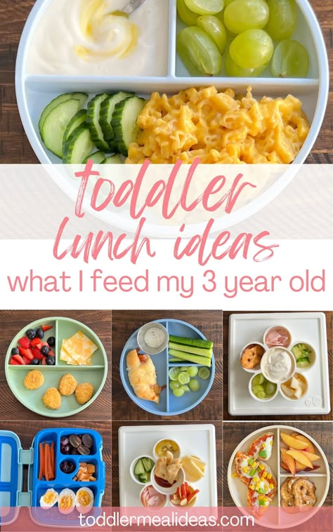 Make mealtimes fun with these easy, tasty, and nutritious toddler lunch ideas for 3 year olds! I'm a real mom of three sharing my tried and true toddler lunches for 3 year olds (or 2-4 year old toddlers) Easy Toddler Lunch Ideas, Toddler Lunch Ideas, Easy Toddler Lunches, Daycare Meals, Preschool Lunch, Toddler Lunch, Dinner Vegetarian, Easy Toddler Meals, Toddler Dinner