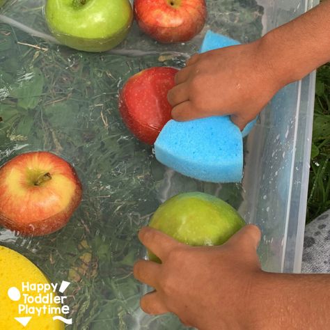 Apple Washing: Super Easy Fall Activity for Toddlers Sensory Bin For Toddlers, Fall Sensory Bin, Fall Activities For Toddlers, Fall Sensory, Washing Station, Activity For Toddlers, Fall Activity, Apple Activities, Gross Motor Activities