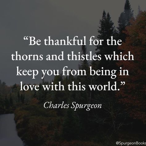 Charles Spurgeon Quotes, Grow Spiritually, Spurgeon Quotes, Study The Bible, Nourish Your Soul, Biblical Worldview, Prayer Closet, Soli Deo Gloria, How To Pray