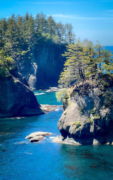 Discover the breathtaking beauty of Cape Flattery, WA – a true paradise! 🌊 Dive into crystal-clear waters and stunning views. Click to explore more! #TravelGoals #PacificNorthwest  Link in bio! Cape Flattery Washington, Cape Flattery, Nature Wallpapers, Breathtaking Beauty, Crystal Clear Water, Travel Goals, Washington State, Nature Wallpaper, Stunning View