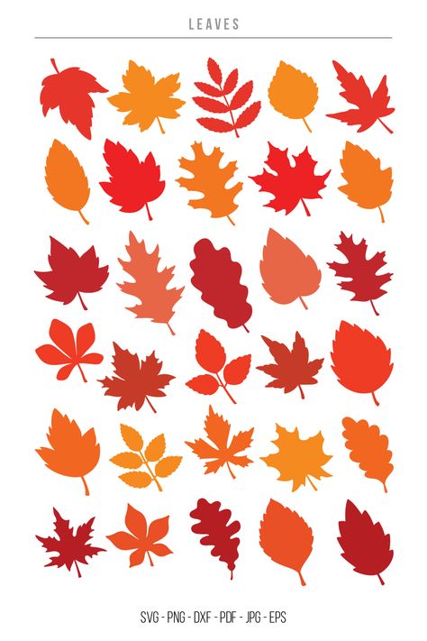 Vactor Leaves SVG, Fall Leaves, Autumn Leaves, SVG, PNG Cricut Decorations, Fall Leaves Svg, Leaf Svg, Christian Fall, Fall Sublimation Designs, Pumpkin Thanksgiving, Fall Sublimation, Leaves Autumn, Fall Svg