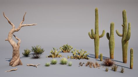 Desert Foliage, Desert Biome