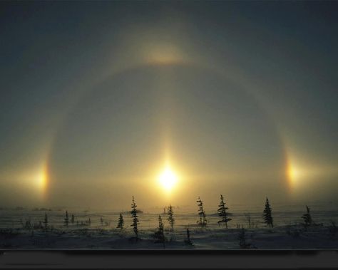 Picture Light Pillars, Moon Halo, Sun Gazing, Sun Dog, Optical Phenomena, Sun Dogs, Dog Light, Rainbow Clouds, Manitoba Canada