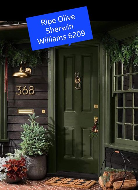 Green Door Colors Sherwin Williams, Green Front Door With Black Shutters, House With Green Door, Sherwin Williams Green Door, Log Cabin Front Door Colors, Green Front Door Log Cabin, Olive Green Front Door, Sherwin Williams Green Onyx Exterior Paint, Sherwin Williams Illusive Green Exterior