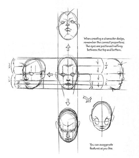 From the book Manga in Theory and Practice Jojo Poses Manga, Jojo Anatomy Reference, How To Draw In Jojo Art Style, Jjba Body Base, Jojo Style Drawing Tutorial, Jojo Artstyle Tutorial, Jojo Face Reference, Jjba Art Style Tutorial, Jojo's Bizarre Adventure Art Style