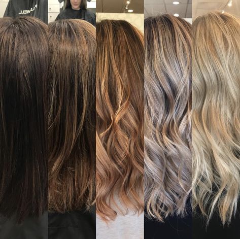 From brunette to blonde First Session Going Blonde, Black To Blonde Transition, From Black To Blonde Hair Transition, Brunette To Blonde Transition, From Brunette To Blonde, Going Blonde From Brunette, Black To Blonde Hair, Brunette Hairstyles, Undercut Long Hair