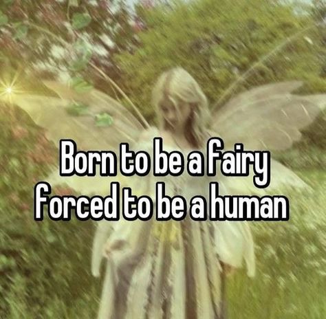 Let Me In Im A Fairy, Fairy Whispers, Fairy Pfp, Fairy Quotes, Ethereal Fairy, Feminine Urge, Female Hysteria, Relatable Meme, Fairycore Aesthetic