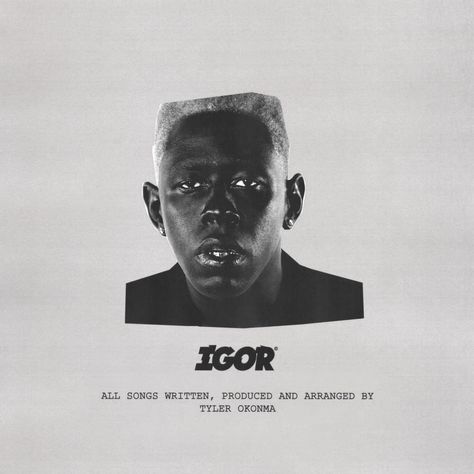 White Tyler The Creator, Gray Album Covers, Phone Decor, Fav Music, Rap Wallpaper, Mini Printer, Concert Aesthetic, Black And White Landscape, Rap Artists