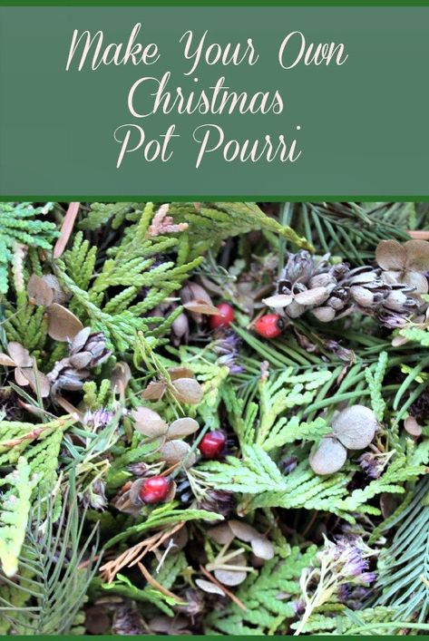 .Have you ever made your own potpourri? It's something I used to do along with a bunch of garden club members. So simple to create your own..... #Christmas #gif… Dried Potpourri, Homemade Potpourri, Potpourri Recipes, Potpourri Christmas, Christmas Smell, Christmas Pots, Christmas Potpourri, Christmas Scents, Stovetop Potpourri