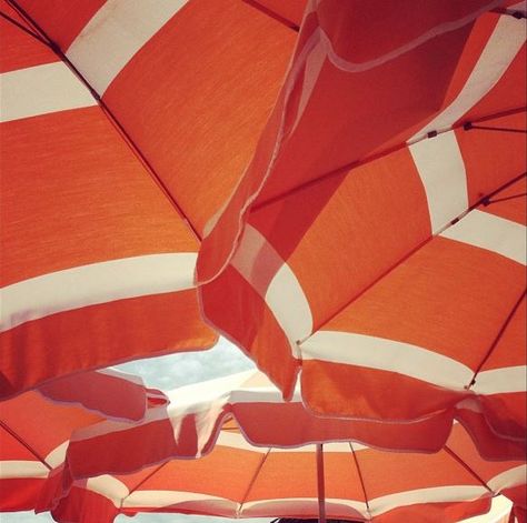 orange umbrellas Playful Orange Sunglasses For Beach, Red Beach Umbrella, Portugal Umbrella Street, Retro Beach Umbrella, White Umbrella, Mermaid Kisses, Orange Umbrella, Orange You Glad, Tangerine Orange