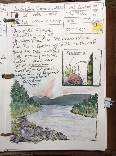 Nature Journaling for a Wild Life – Reader Page — Exploring Overland Nature Journaling Prompts, John Muir Laws Nature Journaling, Nature Journal Pages, Field Journal Ideas, Field Journal Aesthetic, Nature Journaling Ideas, Nature Journal Aesthetic, Explorers Journal, Nature Journal Ideas