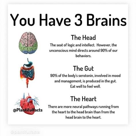 Brain Facts, Frosé, Medical Knowledge, Health Knowledge, Mental And Emotional Health, Health Facts, Brain Health, Health Info, Neuroscience