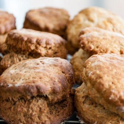 Treacle Scones Treacle Scones, Baileys Christmas, Old Fashioned Bread, Black Treacle, Traditional Christmas Cake, Berry Scones, Old Fashioned Bread Pudding, Scones Ingredients, Scones Recipe