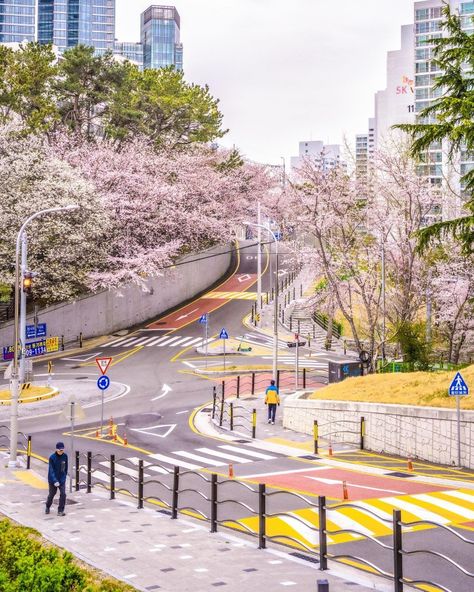 Korea spring aesthetic Spring Korea, Spring Aesthetic, City Streets, Adobe Photoshop, Photoshop, Photography, Travel, Quick Saves, Nature