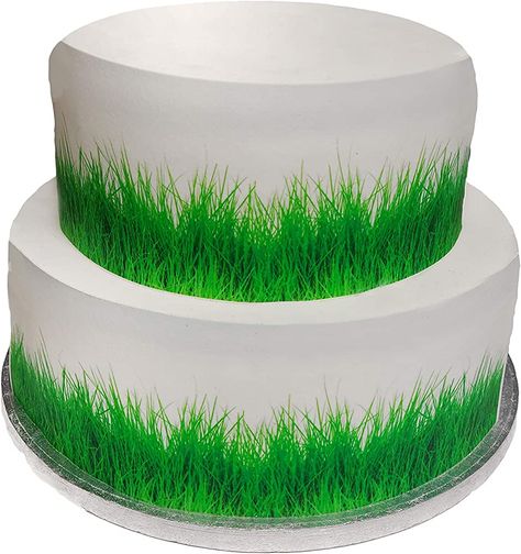 Grass Cake, Cakes Easy, Cake Borders, Butter Icing, Cake Craft, Childrens Birthday Cakes, Icing Sheets, Edible Ink, Sheet Cake