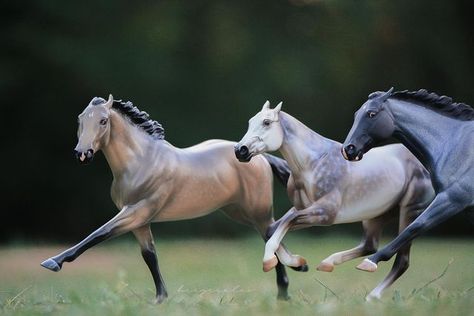 Breyer Photography, Breyer Horse Photography, Toy Horse Stable, Buy A Horse, Bryer Horses, Horse Art Drawing, Barrel Racing Horses, Funny Horse, Mini Horse