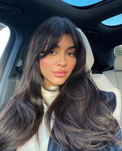 Bangs On Oval Face, Long Layers With Bangs Round Face, Black Hair With Bangs And Layers, Long Layered Hair With Wispy Bangs, Thick Dark Brown Hair, Bangs For Oval Face, Wispy Bangs Round Face, Wispy Bangs Hairstyles, Subtle Bangs