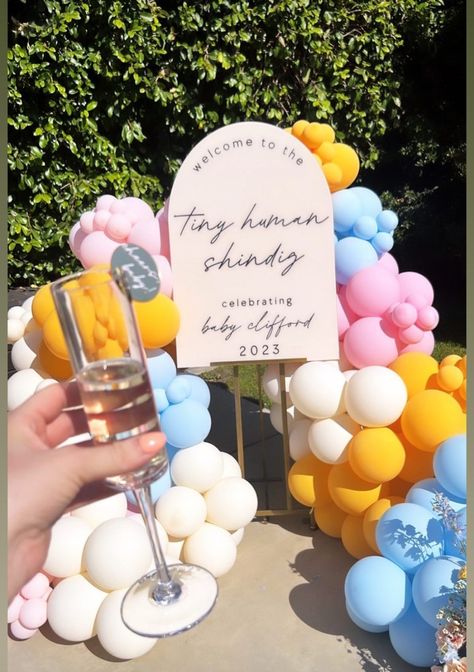 Tiny Human Shindig Decorations, Tiny Human Shindig Theme, Tiny Human Shindig, Kourtney Kardashian Baby Shower Decor, Happy Hour Baby Shower Ideas, Schitts Creek Themed Baby Sprinkle, Popping Bottles Baby Shower Theme, Feminist Baby, Baby Shower Decorations Neutral