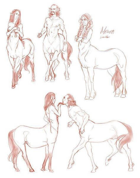 Centaur Base, Centaur Anatomy, Horse Ears, Fun To Draw, Creature Drawings, Fantasy Creatures Art, Mythical Creatures Art, Mythological Creatures, Creature Concept Art