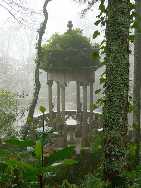 Gazebo com musgo. Ferns Around Trees, Nature Taking Over, Garden Gazebo, Land Art, Magical Places, Nature Aesthetic, Pretty Places, Green Aesthetic, Dream Garden