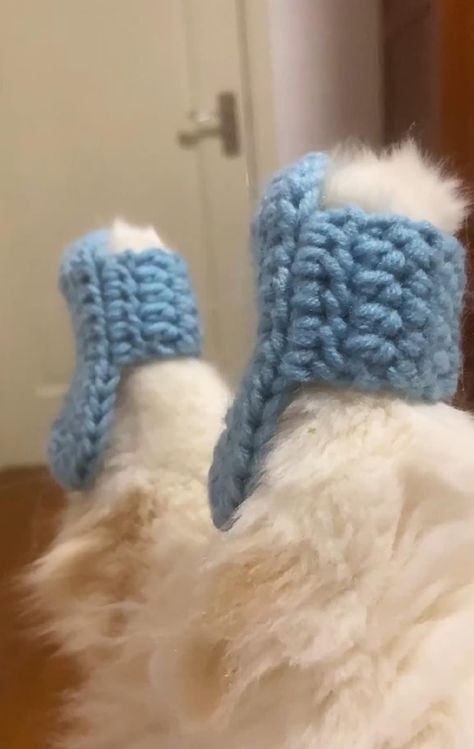 Crochet Shoes For Cat, Crocheted Hats For Cats, Crochet Clothes For Cats, Cat Crochet Clothes, Crochet Things For Cats, Cat Crochet Ideas, Cat Clothes Crochet, Crochet For Cats, Crochet Cat Clothes