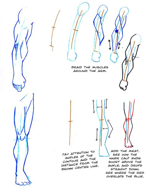 tools: mechanical pencil and photoshop CS >>> my Tumblr <<< >>> my Twitter <<< How To Draw Legs, Tools Mechanical, How To Draw Arms, Female Arms, Draw Arms, Arm Anatomy, Male References, Hands Tutorial, Classe D'art