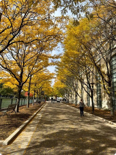 Carnegie Mellon University Aesthetic, University Campus Aesthetic, Pittsburgh Aesthetic, Fall Aesthetic Leaves, Romanticizing College, Bachelorette Aesthetic, College Tours, Aesthetic Leaves, College Core