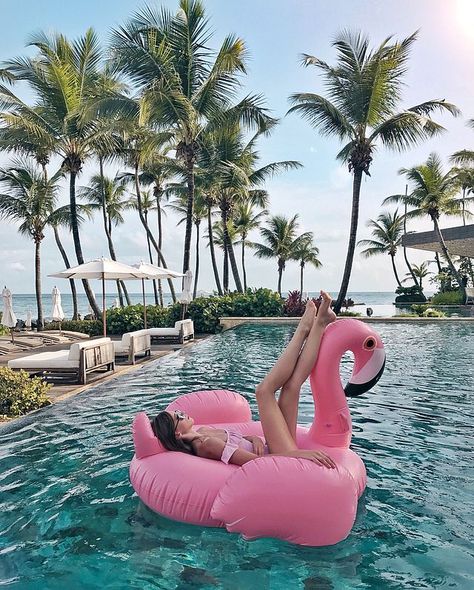 UPDATE: WEEKLY REVIEW #3 Swimming Pool Photography, Summer Vibes Adventure, Summer Vibes Friends, Flamingo Pool Float, Summer Swimming Pool, Flamingo Float, Pool Poses, Flamingo Pool, Pool Photography