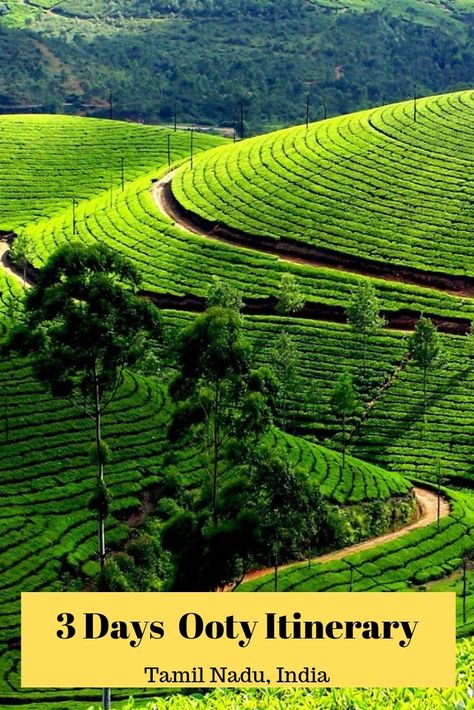 3 Days Ooty itinerary - The Queen of Nilgiris - All Gud Things Ooty Itinerary, Private Jet Travel, Holiday Travel Destinations, Visit Asia, Tea Estate, Artificial Lake, Ooty, Paper Work, Asia Destinations