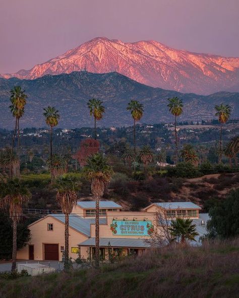 Pch Road Trip, Uc Riverside, California Aesthetic, Riverside California, Mojave Desert, Feeling Happy, Summer Aesthetic, Cali, Road Trip