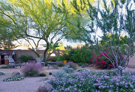 Entertaining Garden, Desert Backyard, Water Wise Landscaping, Low Water Gardening, Dry Garden, Backyard Entertaining, Ground Cover Plants, Water Wise, Sustainable Garden