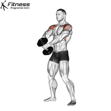 Push Workout » Workout Builder Dumbbell Front Raises, Shoulder And Trap Workout, Shoulder Press Workout, Delts Workout, Upper Body Workout Gym, Traps Workout, Best Shoulder Workout, Shoulder Mobility, Push Workout