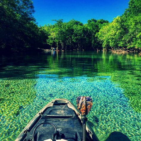 Holmes Creek Canoe LiveryHolmes Creek Canoe Livery Cypress Springs Tallahassee Florida, Florida Springs, Cheap Vacation, Places In Florida, Best Family Vacations, Panama City Beach, All I Ever Wanted, Usa Travel Destinations, Panama City Panama