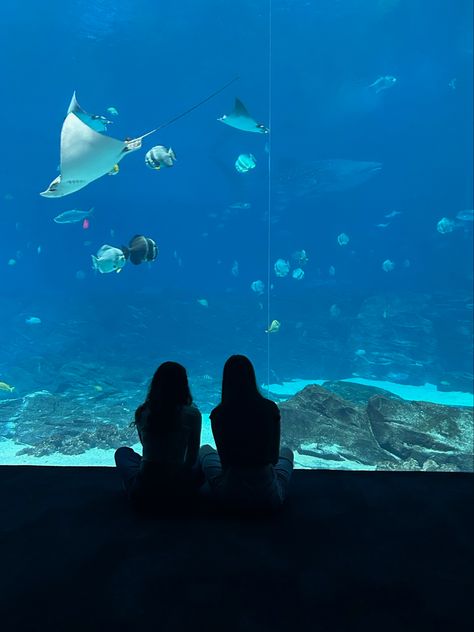 Blue Aesthetic Friends, Aquarium Pics, Aquarium Photo Ideas, Aquarium Pics Ideas, Aquarium Date Pictures, Aquarium Aesthetic Couple, Aquarium Instagram Pictures, Aquarium Date Wlw, Aquarium Photos