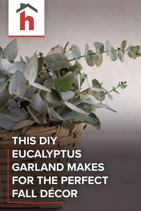 Finding the perfect seasonal décor for fall can be both challenging and expensive, particularly if you're looking for garlands to provide a natural backdrop to centerpieces, mantels, and console tables. #eucalyptus #plants #fauxplants #decor #garland Diy Eucalyptus Garland, Faux Eucalyptus Garland, Diy Eucalyptus, Faux Eucalyptus, Eucalyptus Garland, Can Diy, Faux Plants, Console Tables, Fall Decor