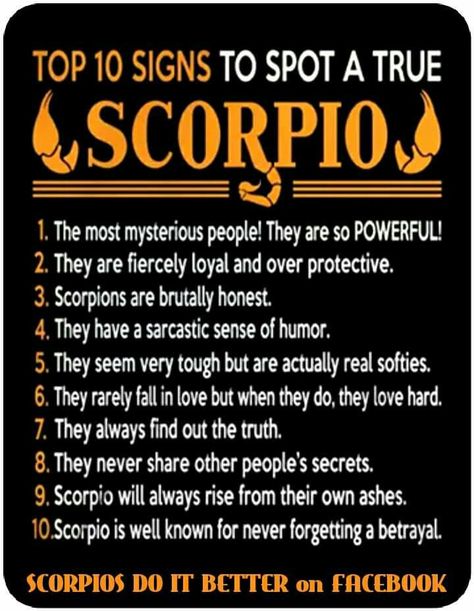 All true, but 8 and 10 is why we are worth trusty!!! All About Scorpio, Zodiac Quotes Scorpio, Astrology Scorpio, Scorpio Women, Scorpio Traits, Scorpio Love, Scorpio Zodiac Facts, Scorpio Quotes, Zodiac Signs Scorpio