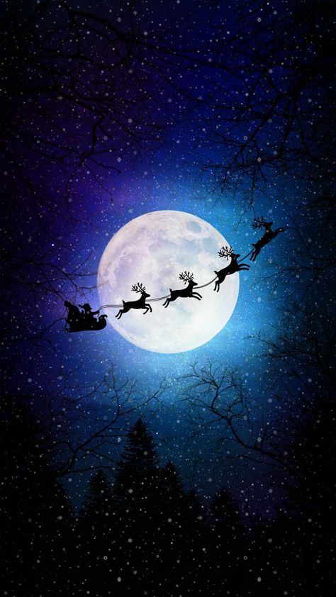 Santa Christmas Moon IPhone Wallpaper - IPhone Wallpapers : iPhone Wallpapers Christmas 4k Wallpaper, Dark Christmas Wallpaper, December Vibes, Xmas Wallpapers, Winter Wallpapers, Chicano Lettering, Tree Background, Reflection Photos, Christmas Tree Background