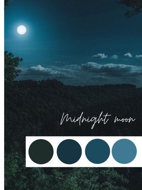 Midnight moon, color palette, photography inspo, wedding color palette, color theory Moon Colors Palette, Midnight Room Aesthetic, Moon Colour Palette, Mystic Color Palette, Moonlit Conservatory, Midnight Color Palette, Celestial Color Palette, Moon Color Palette, Color Palette Photography