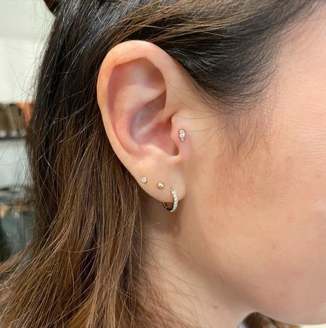 Desden by Buddha for her fresh tragus! This piece also come in Amethyst and Garnet! Tragus Moon Piercing, Tragus Heart Piercing, Double Anti Tragus Piercing, Tragus Earrings Stud Diamonds, Anti Tragus Hoop, Tragus Piercing, Tragus, Garnet, Piercings