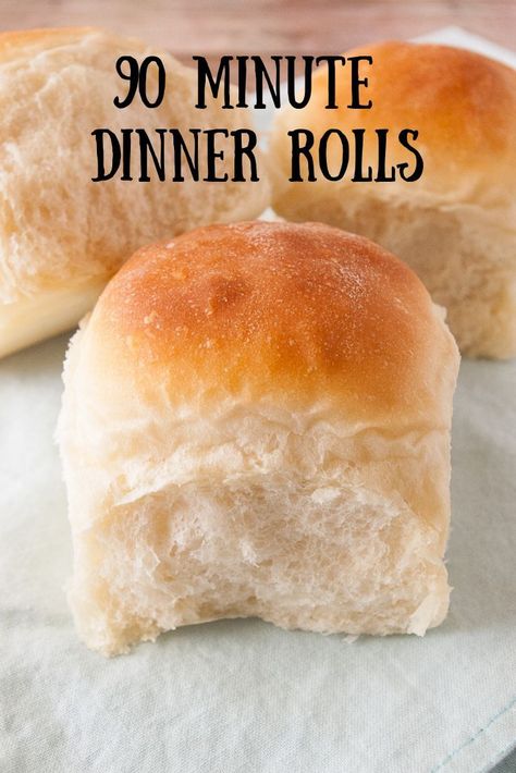 Rolls For Dinner, Dinner Rolls Recipe Homemade, Oatmeal Dinner, Easy Dinner Rolls, Rolls Baking, Beginner Baker, Easy Yeast Rolls, Dinner Rolls Easy, Rolls From Scratch