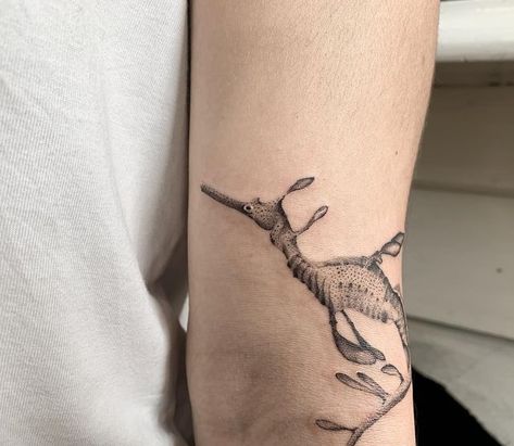 Fine Line Aquatic Tattoo, Weedy Sea Dragon Tattoo, Leafy Sea Dragon Tattoo, Sea Dragon Tattoo, Seahorse Sketch, Sea Themed Tattoos, C Tattoos, Sealife Tattoos, Sea Creature Tattoo