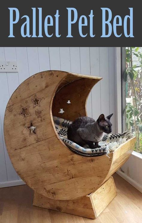 So much better than a stuffed pillow on the floor! Moon Crib, Diy Cat Bed, Pallet Dog Beds, Kat Diy, Chat Diy, Diy Cat Tree, 1001 Pallets, Cats Diy Projects, Recycled Pallets