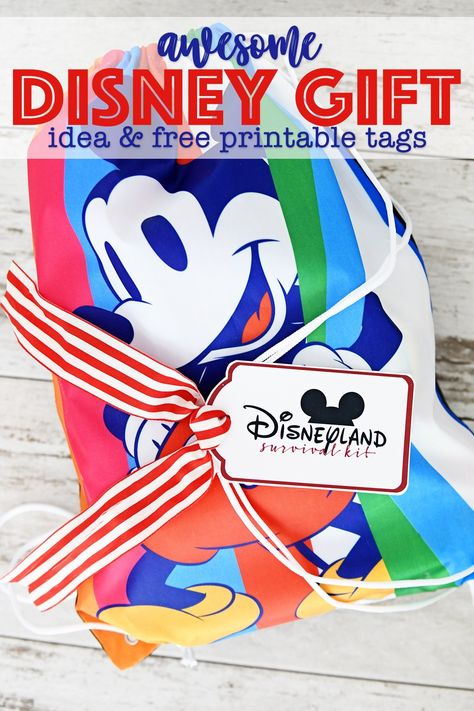 Disney Survival Kit For Adults, Disney Survival Kit, Disney Giveaway Ideas, Disney Teacher Gifts, Disney Gift Bag Ideas, Disney Welcome Basket, Disney World Survival Kit, Disneyland Survival Kit, Disney Gift Ideas