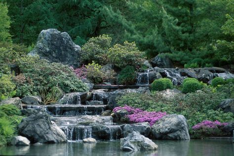 Montreal Botanical Garden, Canada Montreal Botanical Garden, Alpine Garden, Gardens Of The World, Backyard Water Feature, Japanese Garden Design, Most Beautiful Gardens, Chinese Garden, Magical Garden, Garden Theme