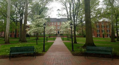 10 of the Easiest Classes at Ohio University - Humans of University Ohio University Athens, Film Analysis, Structure Of The Universe, University Dorm, Communication Theory, College Vision Board, Athens Ohio, University Dorms, College List