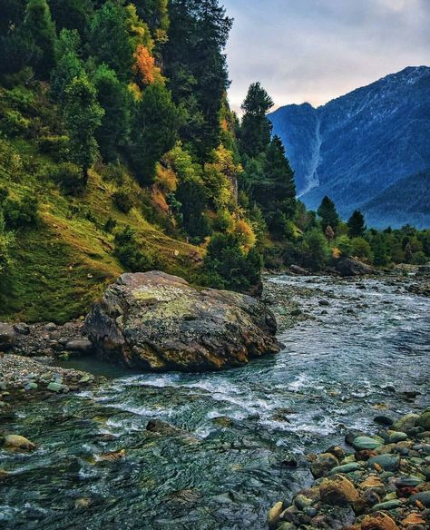 Yusmarg, Kashmir #India Yusmarg Kashmir, Valley Of Flowers, Kashmir India, Mountain Valley, Shimla, Beautiful Place, World Travel, Switzerland, Beautiful Places