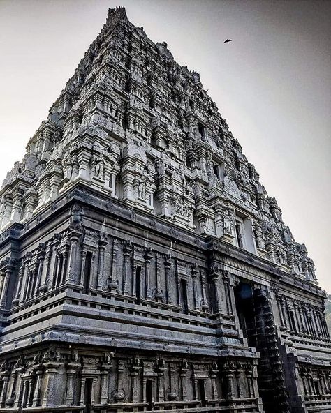 120 Ft Gopuram of Srikalahasteeswara Temple a Pancha Bhoota Sthalam representing Air/ Vayu Lingam located in Srikalahasti, Andhra Pradesh. This Temple was renovated by Rajendra Chola I in 11th century CE & later by Krishnadevaraya of Vijayanagara Empire around 1516 CE Vijayanagara Empire, Indian Sculpture, Pooja Room, Pooja Rooms, 11th Century, Andhra Pradesh, Indian Gods, Temple, Louvre