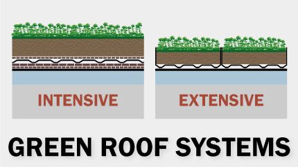 An overview of green roofs including benefits and descriptions of the types: intensive, semi-intensive, and extensive. Extensive Green Roof, Green Roof System, Green Roofs, Roofing Systems, Green Roof, Roof, Dream House, Benefits, Google Search