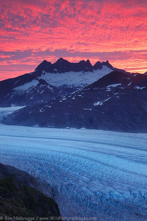 Mendenhall Glacier, Tongass National Forest, Alaska Glaciers, Juneau Alaska, Sunrise Photos, Us National Parks, Beautiful Sights, Beautiful Morning, Road Trip Usa